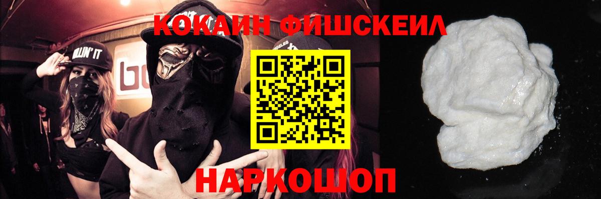 КОКАИН Колумбийский  купить наркотик  Елизово  COCAIN FishScale  Вход с VPN 